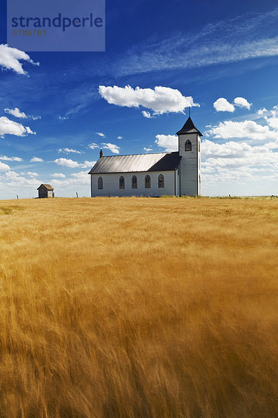 Reife  Ernte bereit Hartweizen Weizenfeld mit St. Elizabeth Roman Catholic Church in den Hintergrund  in der Nähe von Gravelburg  Saskatchewan  Kanada