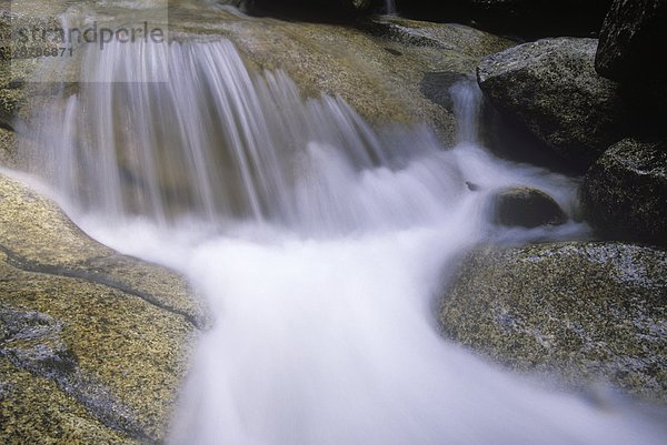 Frisches Wasser über Granitblöcke  Shannon Falls Park  Squamish  British Columbia  Kanada.
