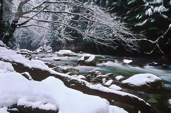 Tamahi Creek fließt von Cascade Range  British Columbia  Kanada.