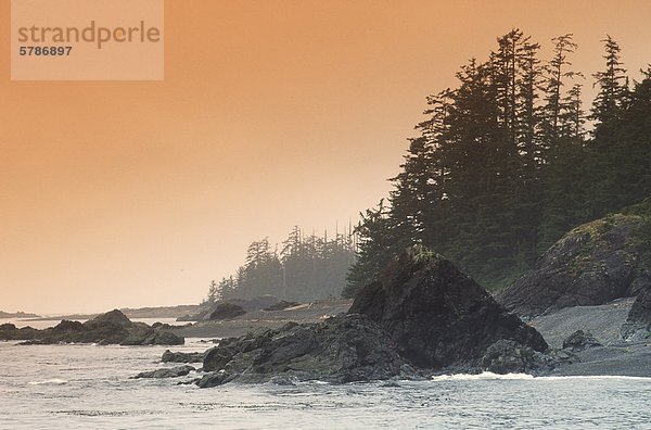 Küste bei Sonnenuntergang  Clayoquot Sound  Vancouver Island  British Columbia  Kanada.