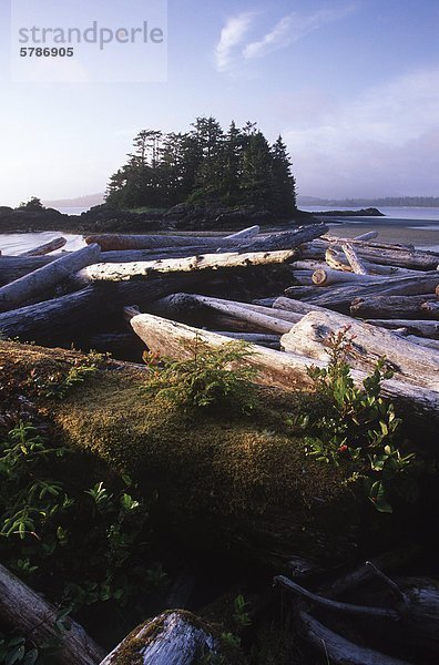 Clayoquot Sound British Columbia Kanada Vancouver Island