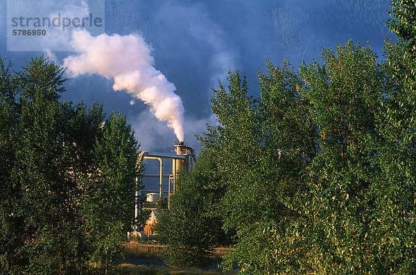 Industrielle Schornstein umrahmt von Vegetation  British Columbia  Kanada.