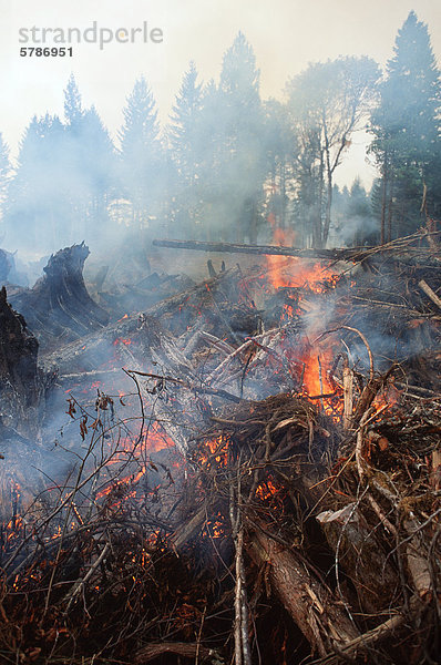 Protokollierung Schrägstrich Feuer  brennende Trümmer  British Columbia  Kanada.