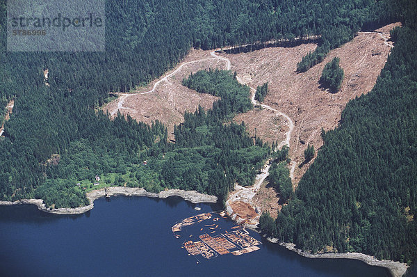 Bute Inlet  Clearcut Logging und marine melden Müllkippe  British Columbia  Kanada.