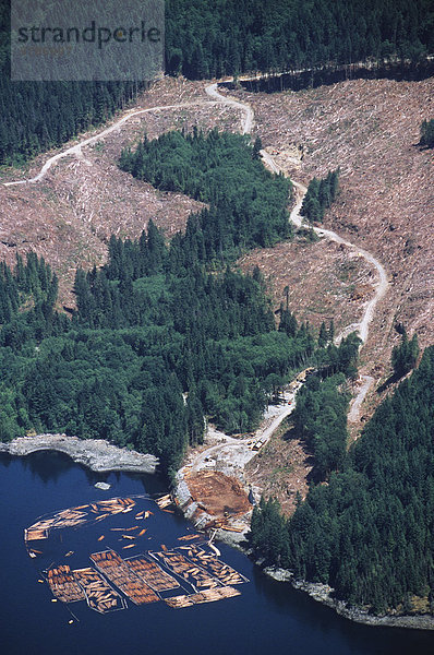 Bute Inlet  Clearcut Logging und marine melden Müllkippe  British Columbia  Kanada.