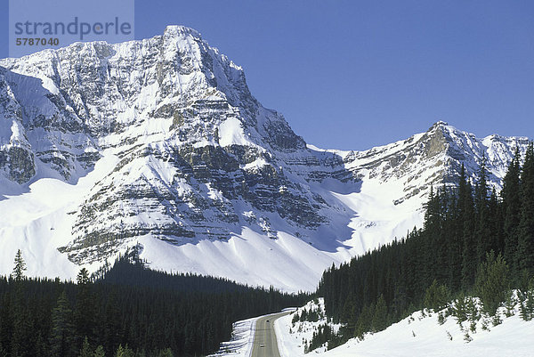 Rocky Mountain Richtung Norden nach Jasper  Icefields Parkway  Alberta  Kanada.