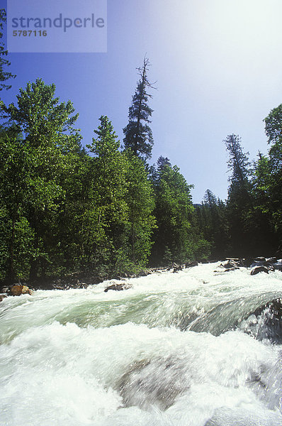 Stromschnellen  Englishman River Falls Provincial Park  British Columbia  Kanada.