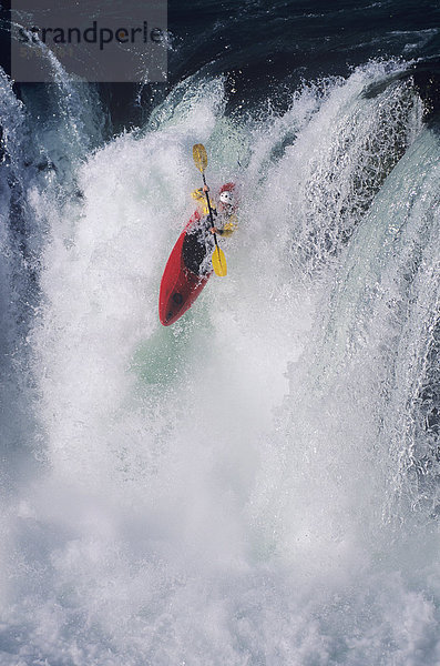 whitewater kayaker drops falls  Whistler area - Cheakamus River  British Columbia  Canada.