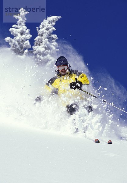 Skifahrer Skifahren frische Tiefe Pulver in Fernie Alpine Resort  East Kootenays  British Columbia  Kanada.