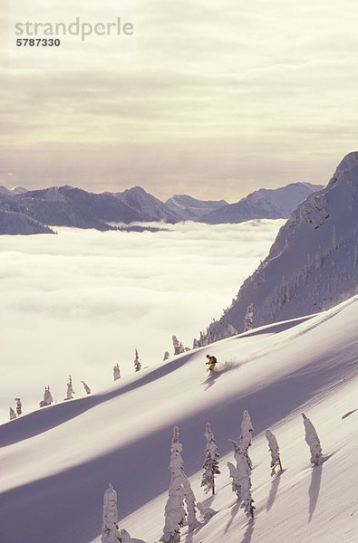 Skifahren Pulver in der Nähe von Thunder Medow  Lizard Range  Fernie  Britisch-Kolumbien  Kanada.