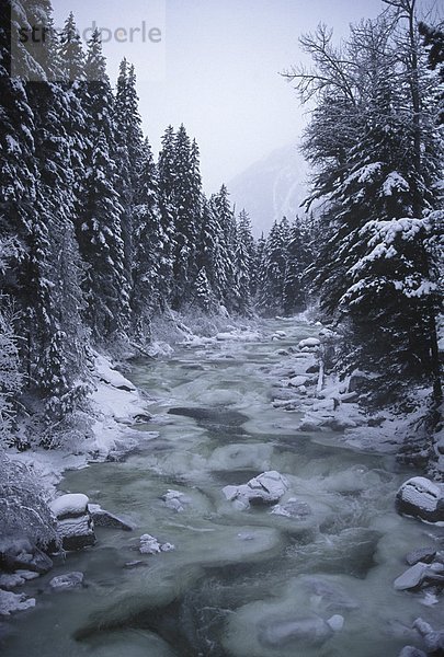 Cayoosh Creek gefriert im Winter  British Columbia  Kanada.