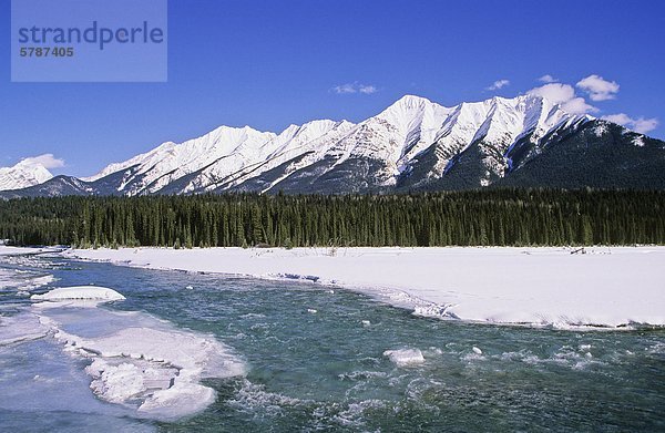 Kootenay River  Vermilion Range  Kootenay Nationalpark  British Columbia  Kanada.