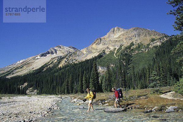 Weibliche Rucksacktouristen Überquerung der Little Yoho River  Iceline Trail  Yoho Nationalpark  Britisch-Kolumbien  Kanada.