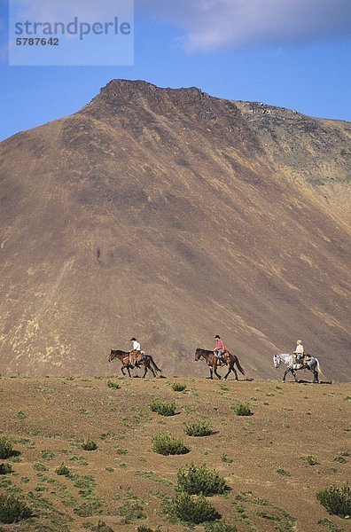 Pferde und Reiter in den South Chilcotin Bergen  in der Nähe von Gold Bridge  British Columbia  Kanada.