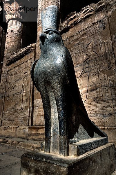 Statue des Horus vor Figurenrelief und Hieroglyphen im Innenhof des Horus-Tempel in Edfu  Ägypten