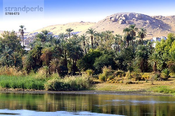 nahe Wüste Fluss Dorf Assuan Ägypten