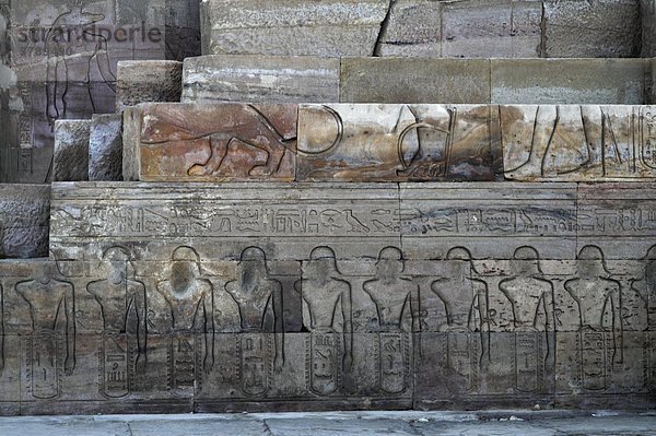 Hieroglyphen und Relief im Tempel von Kom Ombo  Ägypten