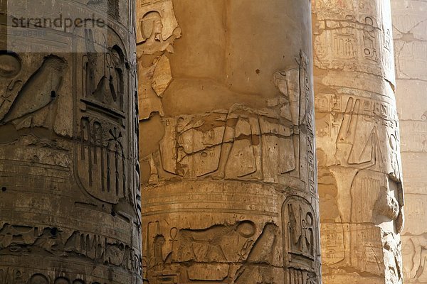 Hieroglyphen und Relief im Tempel von Karnak  Ägypten