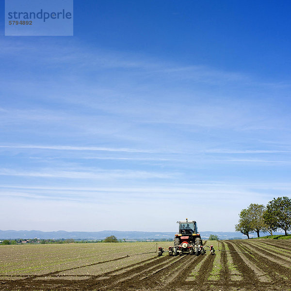 Traktor pflügt ein Feld  Limagne  Auvergne  Frankreich  Europa