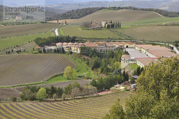 Das Weingut vom Castello di Brolio  Chianti-Gebiet  Toskana  Italien  Europa