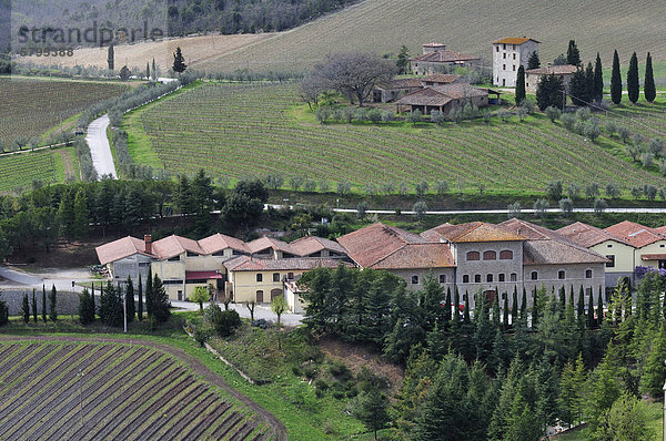 Das Weingut vom Castello di Brolio  Chianti-Gebiet  Toskana  Italien  Europa