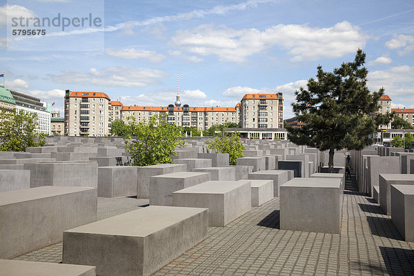 Holocaust-Denkmal  Denkmal für die ermordeten Juden Europas  Berlin  Deutschland  Europa