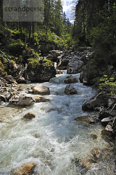 Gebirgsfluss Ramsauer Ache  Ramsau  Oberbayern  Deutschland  Europa