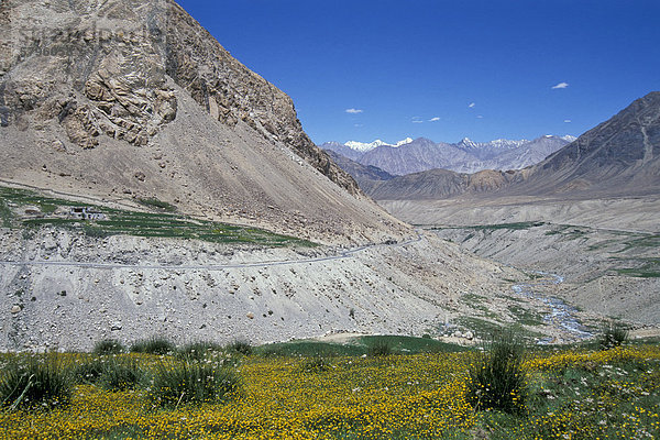 Felder  Nubra-Tal  Ladakh  indischer Himalaya  Jammu und Kaschmir  Nordindien  Indien  Asien