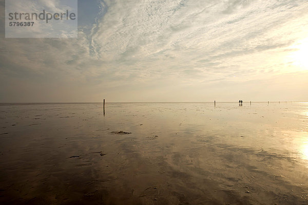 Wattwanderung im Abendlicht im flachen Wasser der Nordsee  UNESCO-Welterbe Nationalpark Schleswig-Holsteinisches Wattenmeer  Westerhever  Kreis Nordfriesland  Schleswig-Holstein  Deutschland  Europa