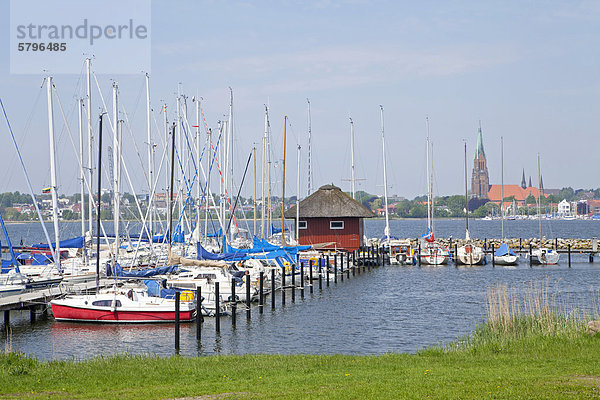 Blick auf Schleswig vom Yachthafen Haithabu  Schlei  Schleswig-Holstein  Deutschland  Europa