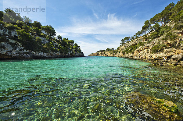 Die Bucht Cala Pi  nahe Llucmajor  Mallorca  Balearen  Spanien  Europa