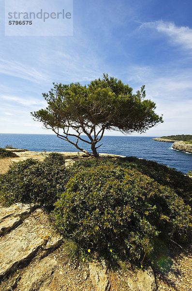 Blick auf die Bucht von Cala Pi  nahe Llucmajor  Mallorca  Balearen  Spanien  Europa