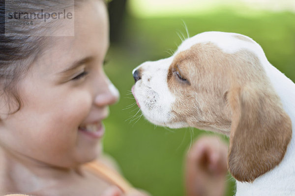Mädchen spielt mit Beagle Puppy  Seitenansicht