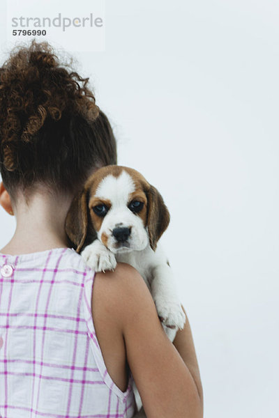 Mädchen mit Beagle-Welpe  Rückansicht