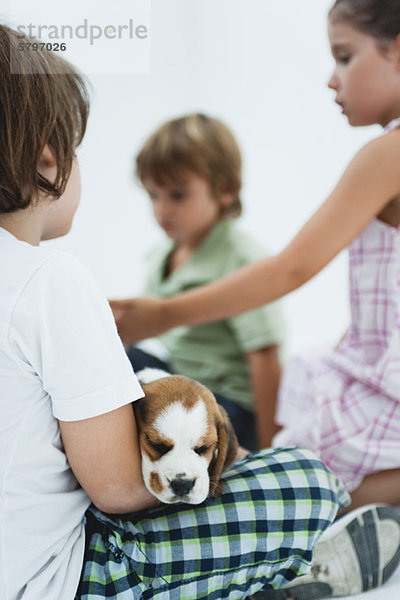 Kinder hängen herum  Junge im Vordergrund hält Beagle Puppy