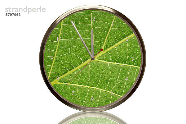 Uhr mit grünem Blatt  die fünf vor zwölf anzeigt  Symbolbild Umweltschutz
