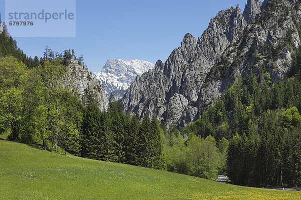 Nationalpark Gesäuse  Blick von Johnsbach  Ennstaler Alpen  Obersteiermark  Steiermark  Österreich  Europa