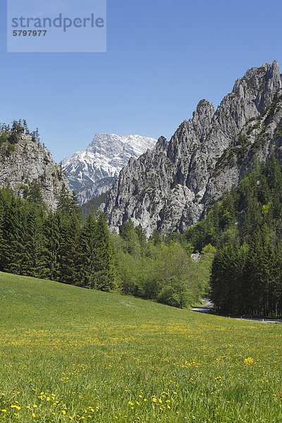 Nationalpark Gesäuse  Blick von Johnsbach  Ennstaler Alpen  Obersteiermark  Steiermark  Österreich  Europa
