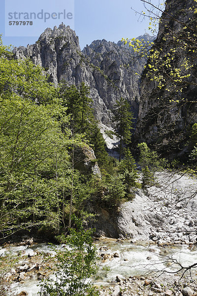 Johnsbach  Nationalpark Gesäuse  Ennstaler Alpen  Obersteiermark  Steiermark  Österreich  Europa