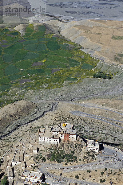 Blick auf Felder und buddhistisches Kloster oder Gompa Ki  Spiti-Tal  Lahaul und Spiti  indischer Himalaya  Himachal Pradesh  Nordindien  Indien  Asien