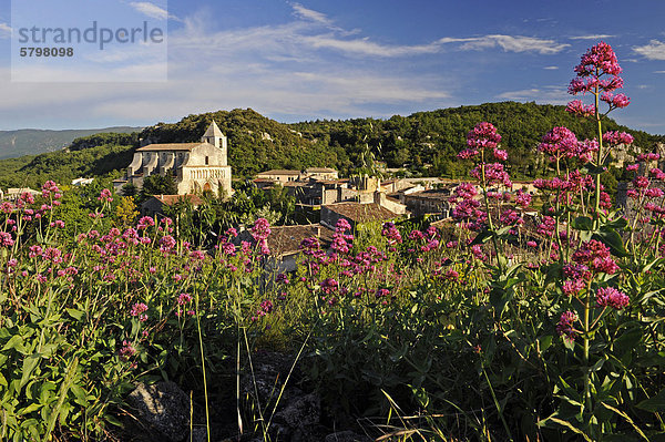 Dorf Saignon  DÈpartement Vaucluse  Region Provence-Alpes-CÙte d'Azur  Frankreich  Europa