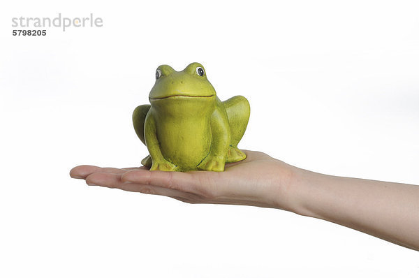Hand mit künstlichem Frosch