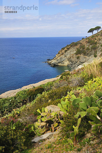 Europa Elba Italien Toskana