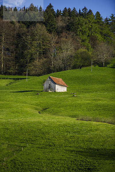 Saftige Wiese mit Hütte am Scheitlingsbüchel  St. Gallen  Schweiz  Europa