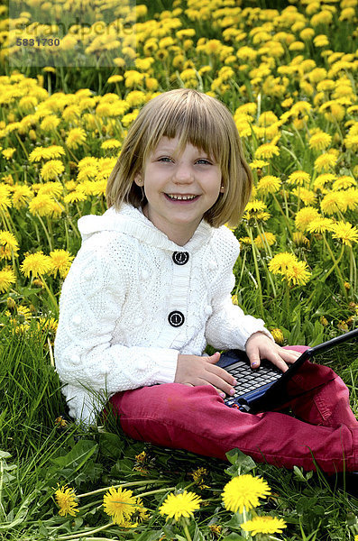 Mädchen  6 Jahre  sitzt auf einer Löwenzahnwiese mit einem Laptop-Computer  Ystad  SkÂne  Schweden  Europa