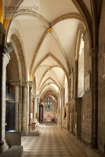 Südliches Seitenschiff der Kathedrale von Chichester  Chichester  West Sussex  England  Großbritannien  Europa