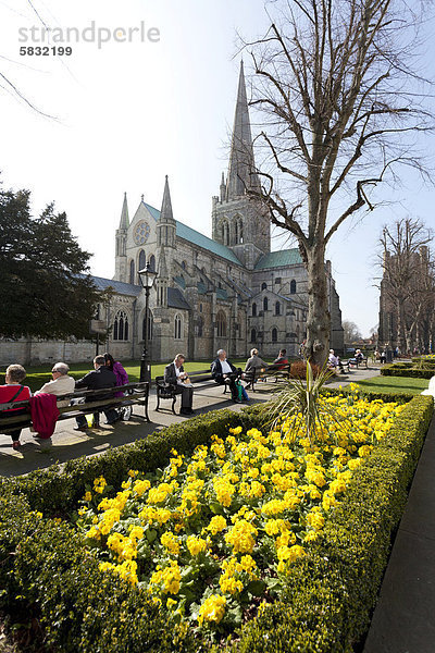 Menschen genießen die Frühlingssonne und die Narzissen vor der Kathedrale von Chichester  Chichester  West Sussex  England  Großbritannien  Europa