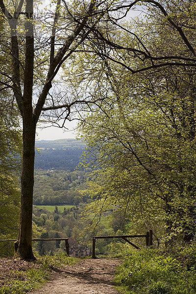 Zaun an malerischer Stelle des Dorfes Steep  von Ashford Hangers  Hampshire  England  Großbritannien  Europa