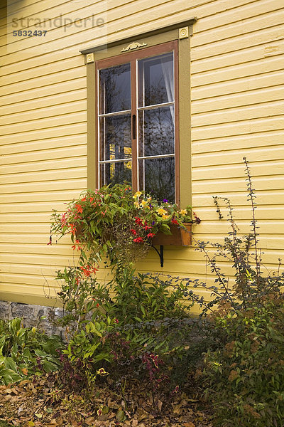 Lifestyle Fenster Glas Wand Wohnhaus gelb Dekoration Herbst Nachbarschaft Seitenansicht Kanada Glasscheibe Quebec