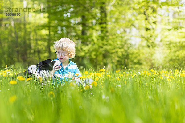 Junge - Person  Hund  Feld  groß  großes  großer  große  großen  Gras